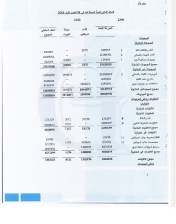 تقرير المدقق 2024